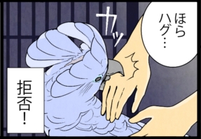 いたずらオウムの生活雑記　漫画