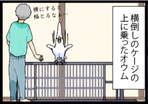 いたずらオウムの生活雑記　漫画
