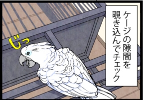 いたずらオウムの生活雑記　漫画
