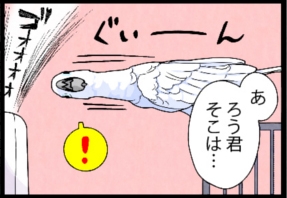 いたずらオウムの生活雑記　漫画