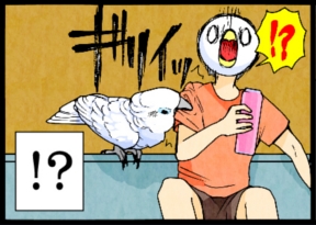 いたずらオウムの生活雑記　漫画