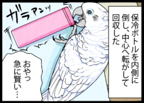 いたずらオウムの生活雑記　漫画