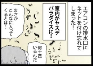 漫画「いたずらオウムの生活雑記」 第711回 ヤスデが侵入！