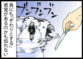 いたずらオウムの生活雑記　漫画