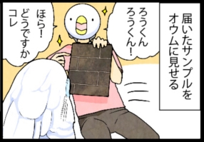 いたずらオウムの生活雑記　漫画