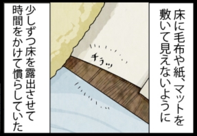 いたずらオウムの生活雑記　漫画
