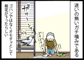 いたずらオウムの生活雑記　漫画