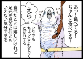 いたずらオウムの生活雑記　漫画
