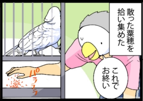 いたずらオウムの生活雑記　漫画
