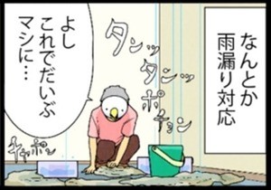 漫画「いたずらオウムの生活雑記」 第739回 雨漏りの一夜