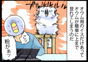 いたずらオウムの生活雑記　漫画