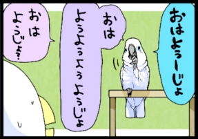 いたずらオウムの生活雑記　漫画