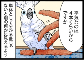 いたずらオウムの生活雑記　漫画