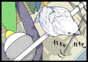 いたずらオウムの生活雑記　漫画