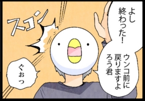 いたずらオウムの生活雑記　漫画