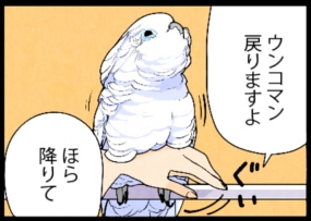いたずらオウムの生活雑記　漫画