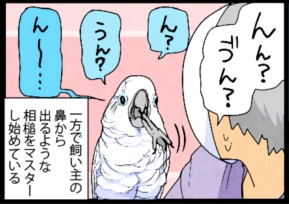 いたずらオウムの生活雑記　漫画