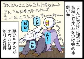 いたずらオウムの生活雑記　漫画