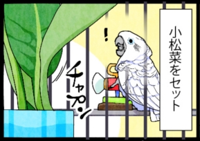 いたずらオウムの生活雑記　漫画