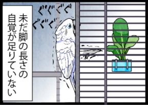いたずらオウムの生活雑記　漫画