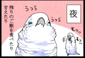 いたずらオウムの生活雑記　漫画