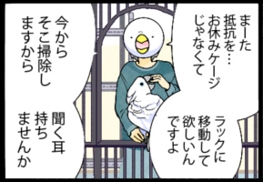 いたずらオウムの生活雑記　漫画