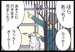 いたずらオウムの生活雑記　漫画