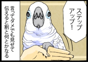いたずらオウムの生活雑記　漫画