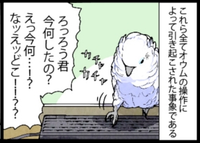 いたずらオウムの生活雑記　漫画