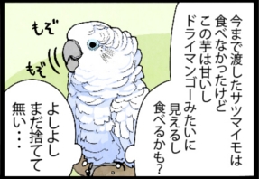 いたずらオウムの生活雑記　漫画