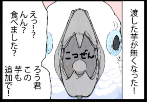 いたずらオウムの生活雑記　漫画