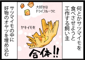 いたずらオウムの生活雑記　漫画