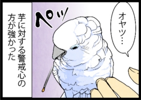 いたずらオウムの生活雑記　漫画