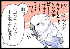 漫画 いたずらオウムの生活雑記 8 あいさつの迷走 マイナビニュース