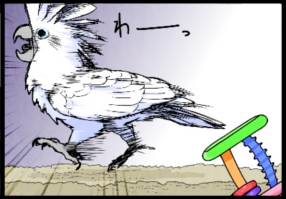 いたずらオウムの生活雑記　漫画