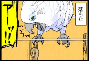 いたずらオウムの生活雑記　漫画
