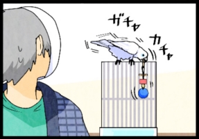 いたずらオウムの生活雑記　漫画