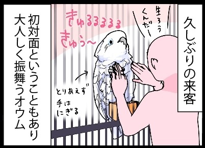 漫画「いたずらオウムの生活雑記」(840) 久しぶりの来客 | マイナビ ...