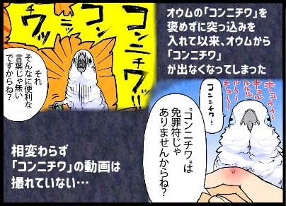 漫画 いたずらオウムの生活雑記 848 撮影はng マイナビニュース