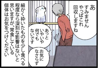 いたずらオウムの生活雑記　漫画