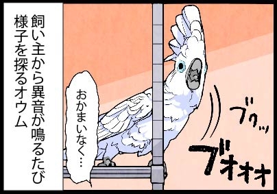 いたずらオウムの生活雑記　漫画