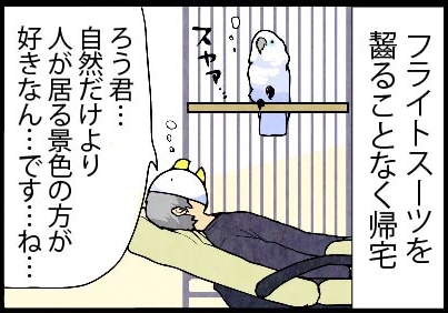 いたずらオウムの生活雑記　漫画