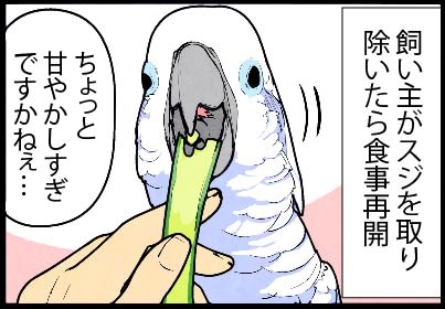 いたずらオウムの生活雑記　漫画