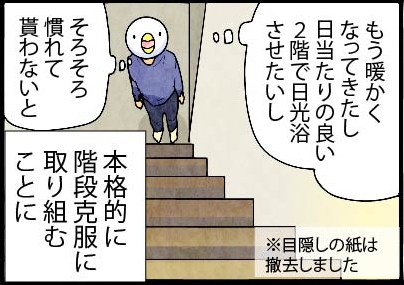 いたずらオウムの生活雑記　漫画