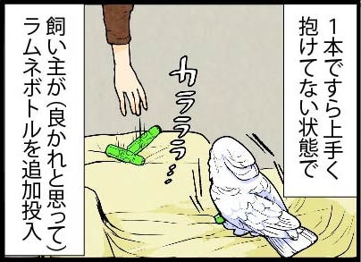 漫画 いたずらオウムの生活雑記 868 追加ボトルの悲壮感 マイナビニュース