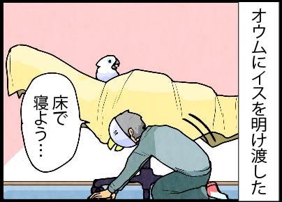 漫画 いたずらオウムの生活雑記 876 床で寝よう マイナビニュース