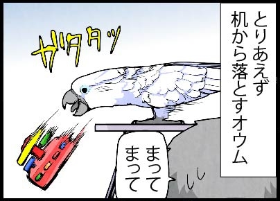 いたずらオウムの生活雑記　漫画