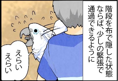 いたずらオウムの生活雑記　漫画