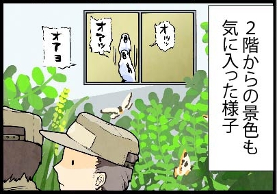 いたずらオウムの生活雑記　漫画
