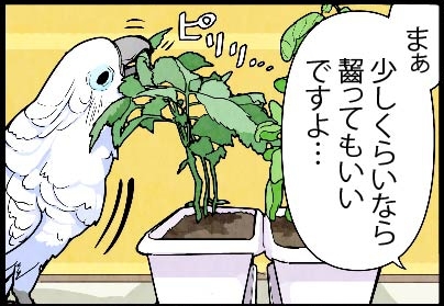 いたずらオウムの生活雑記　漫画